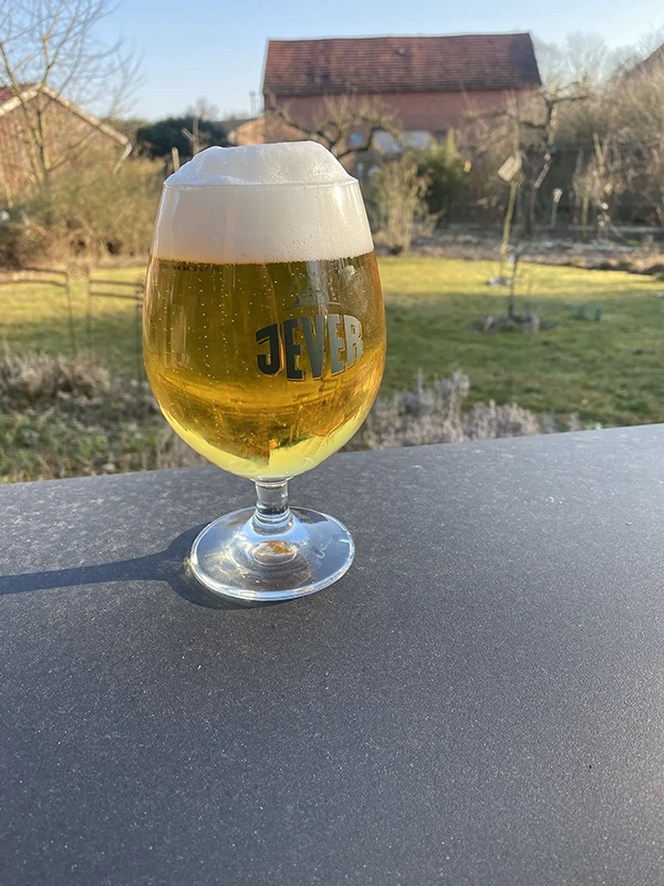 Ein gläsernes Getränk mit Schaum steht auf einer Tischplatte und im Hintergrund ist ein Garten.