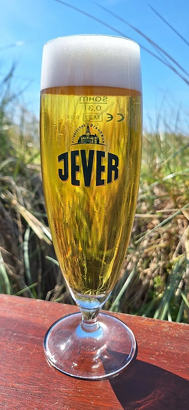 Ein Bierglas mit hellem Bier steht auf einer Holzoberfläche, umgeben von Natur.