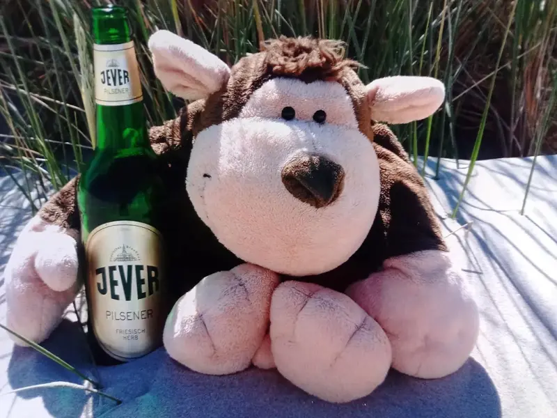 Ein Plüschaffe lehnt an einer Jever Pilsener Flasche. Im Hintergrund stehen hohe Gräser.