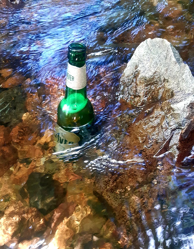 Jever Pilsener Flasche steht im flachen Wasserlauf neben einem großen, hellen Stein.