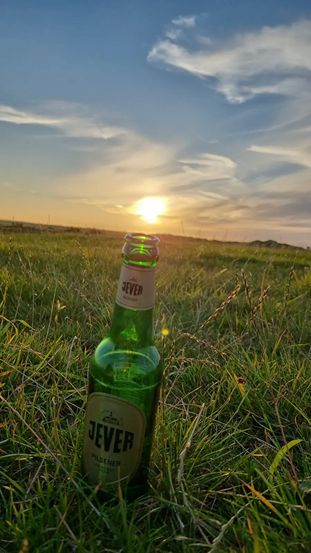 Grüne Bierflasche mit Jever Etikett steht im Gras. Im Hintergrund ist eine Wiese mit Sonnenuntergang und leicht bewölktem Himmel zu sehen.
