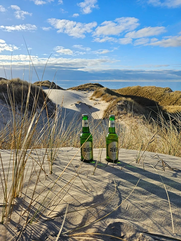 Zwei Jever Flaschen stehen im Sand zwischen Dünengras. Dahinter Dünen und der blaue Himmel.
