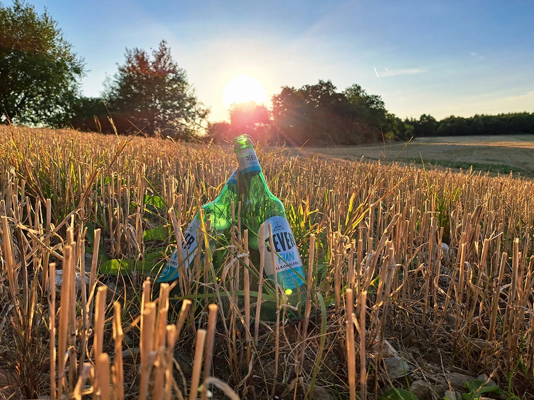 Zwei Jever Flaschen stehen auf einem Stoppelfeld. Im Hintergrund Sonnenuntergang mit Bäumen und Wiese.