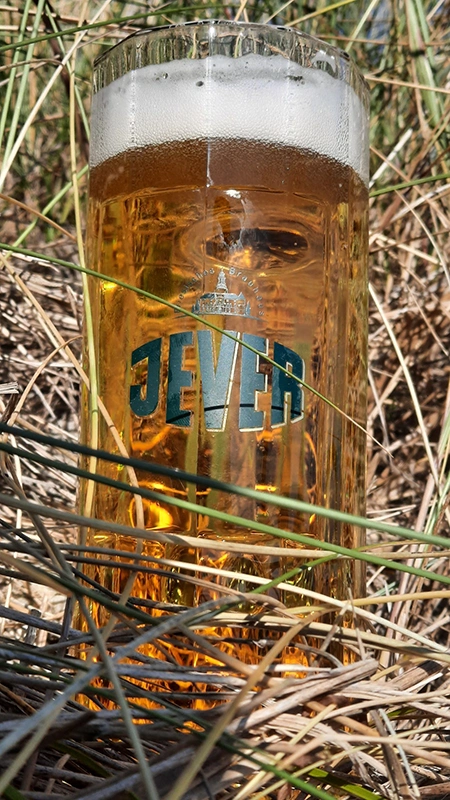 Ein Jever-Glas mit Bier darin steht im Gestrüpp einer Düne.