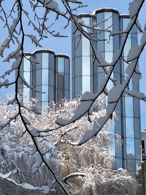 Verschneite Äste mit zwei Jever-Brauereigebäuden im Hintergrund.