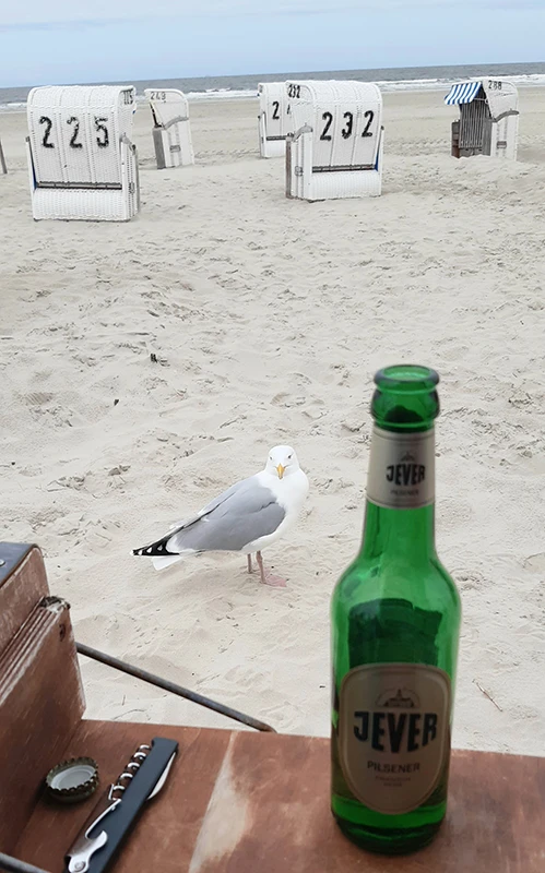 Mehrere Strandkörbe stehen am Strand. Eine Möwe ist im Sand, daneben eine geöffnete Jever Pilsener Flasche auf einem Tisch.