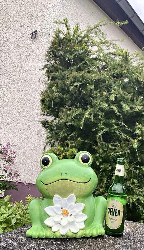 Ein dekorativer, grüner Frosch mit einer weißen Blume sitzt neben einer Jever Pilsener Flasche auf einem Stein vor einem Haus.