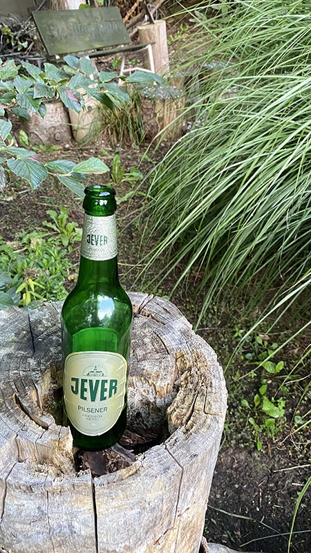 Eine Jever Flasche steht in einem ausgehöhlten Baumstumpf. Gräser und Pflanzen umgeben den Stamm.