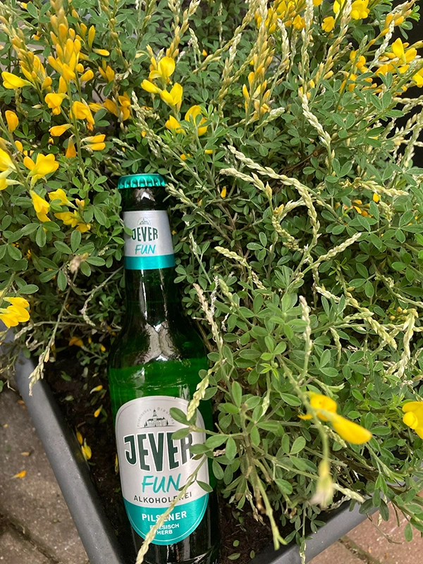 Jever Fun Flasche liegt zwischen gelb blühenden Pflanzen in einem Pflanzkasten.