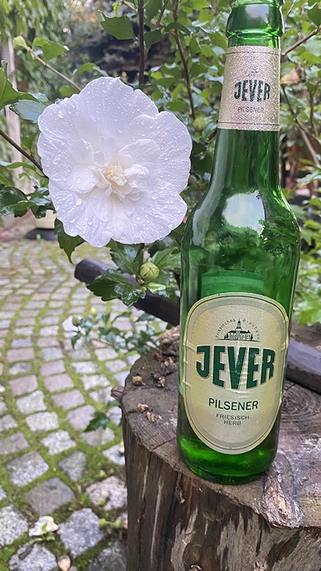 Jever Pilsener Flasche steht neben einer weißen Blüte auf einem Baumstumpf. Im Hintergrund verläuft ein Gartenweg.