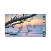 Desktopkalender Monat Januar in Größe 2560 x 1440 Pixel downloaden