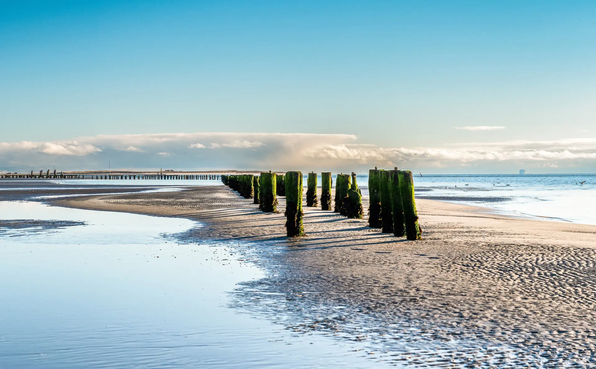 Reihe von Holzpfählen, teils von Algen bedeckt, umgeben von Sand und Meer. Klarer Himmel mit wenigen Wolken.