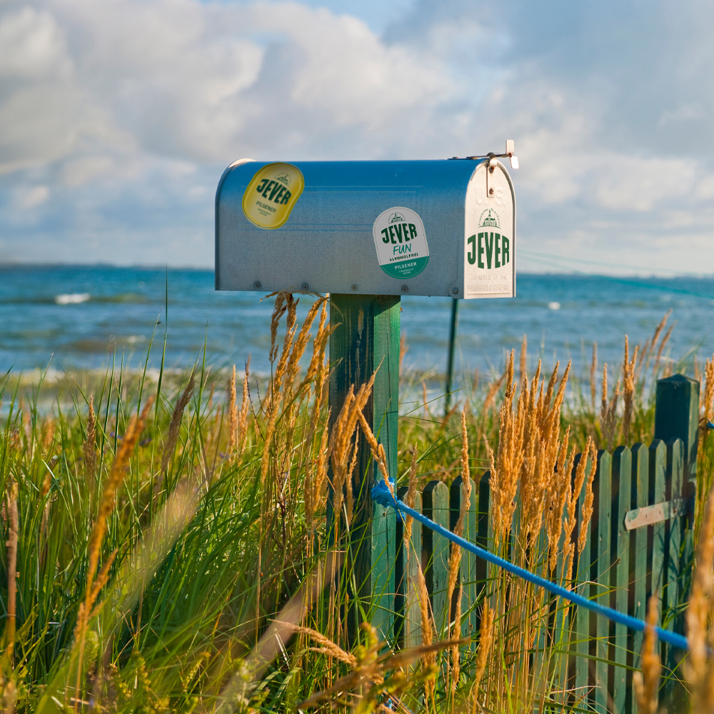 Ein Briefkasten steht auf einem grasbedeckten Strand, Meereswellen im Hintergrund.
